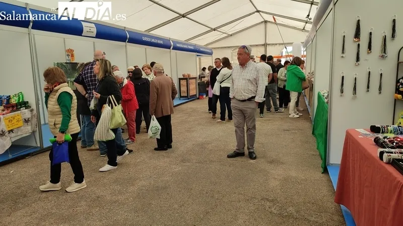 XV Feria del Aceite y el Olivar de vilvestre / CORRAL