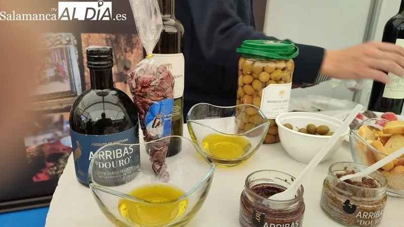 XV Feria del Aceite y el Olivar de vilvestre / CORRAL