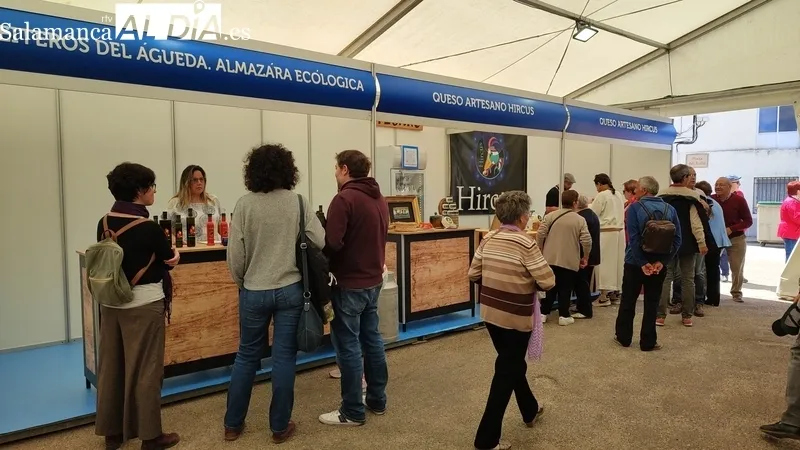 XV Feria del Aceite y el Olivar de vilvestre / CORRAL