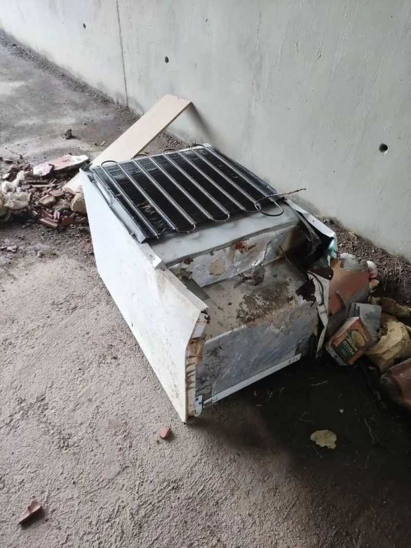 Enseres, basura, residuos y escombros junto a la A-66 
