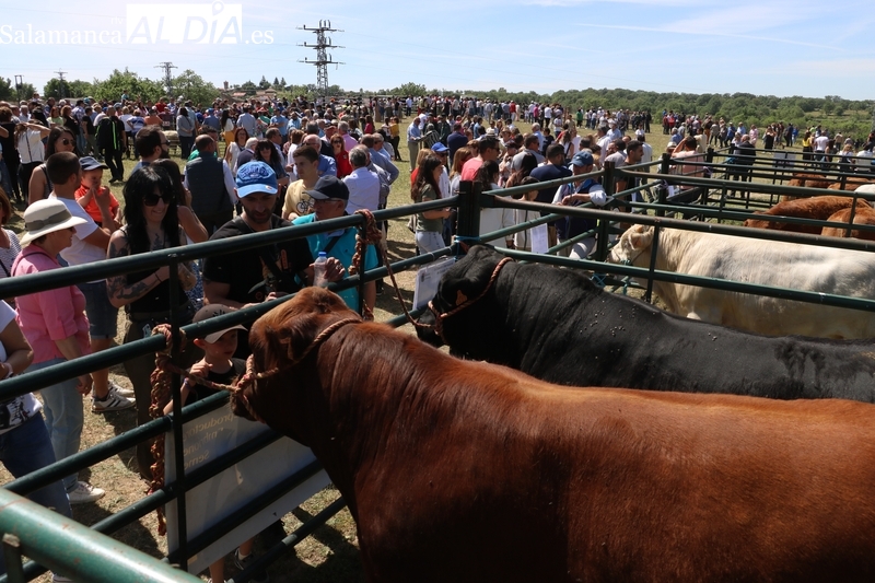 La Feria de San Felipe recibe en Barruecopardo a miles de personas en un día de fiesta y convivencia