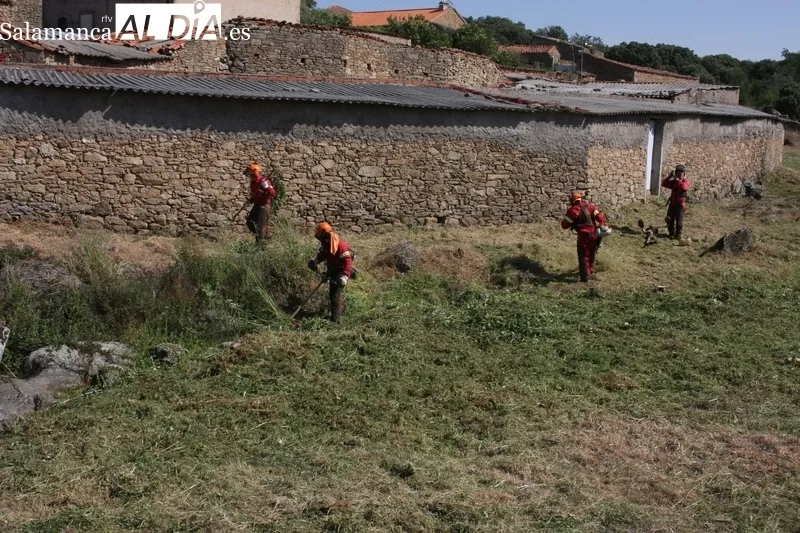 Operarios de la empresa Estrao proceden a la limpieza arbustiva del cauce del regato