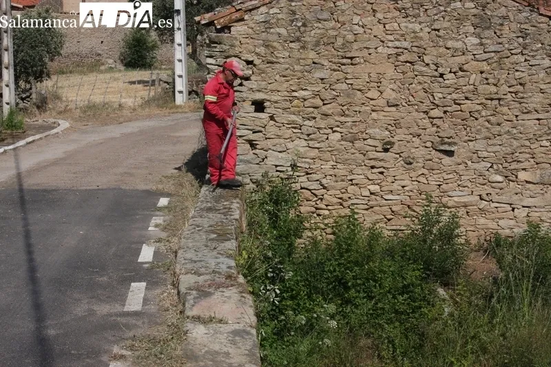Operarios de la empresa Estrao proceden a la limpieza arbustiva del cauce del regato