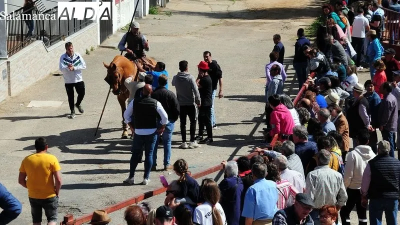 Foto 7 - At&iacute;pico encierro a caballo con "la fuga" de un novillo en las fiestas de El Noveno de San Felices de los Gallegos