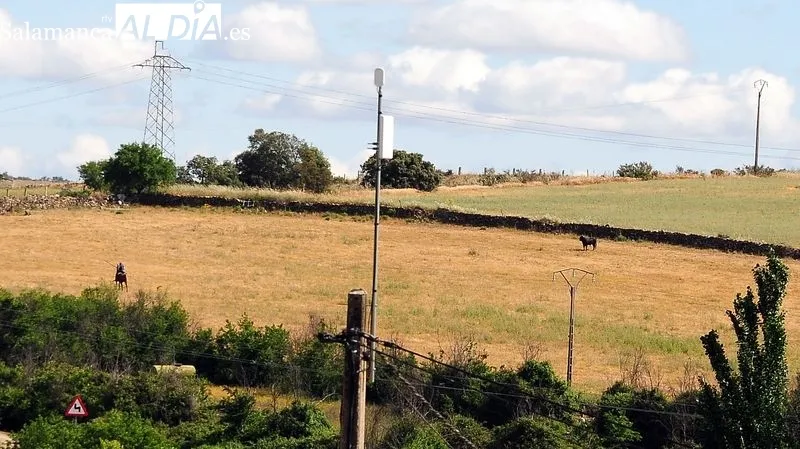 Foto 6 - At&iacute;pico encierro a caballo con "la fuga" de un novillo en las fiestas de El Noveno de San Felices de los Gallegos