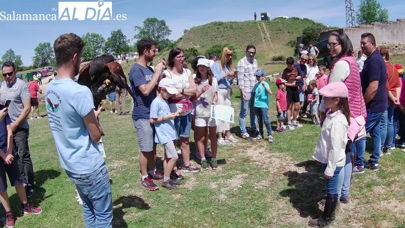 Feria ganadera de San Felipe en Barruecopardo / CORRAL