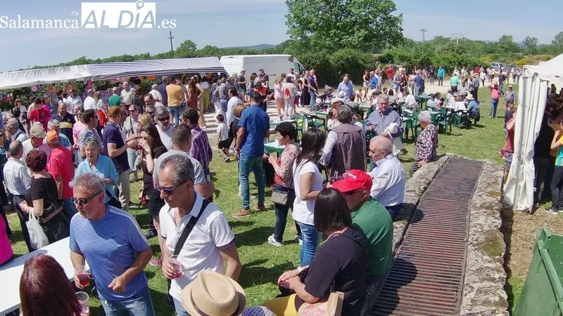 Feria ganadera de San Felipe en Barruecopardo / CORRAL