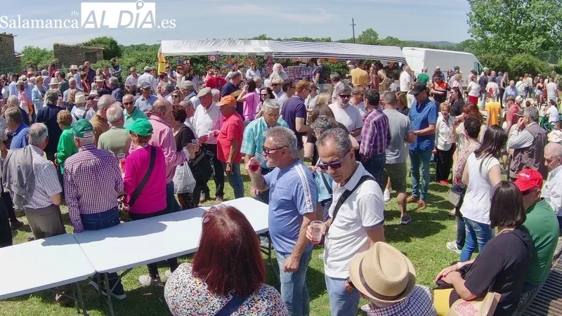 Feria ganadera de San Felipe en Barruecopardo / CORRAL