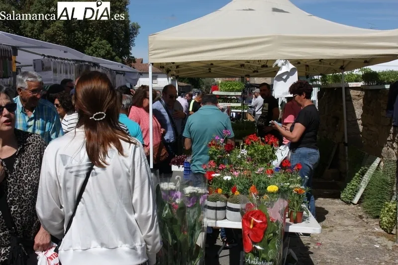 El mercadillo de Trabanca registraba una extraordinaria afluencia de público este primer domingo de mayo 