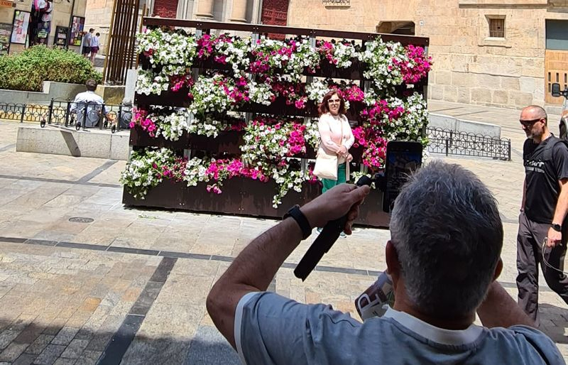 El Ayuntamiento de Salamanca instala un muro verde en la Rúa Mayor para simbolizar la simbiosis entre patrimonio natural y monumental