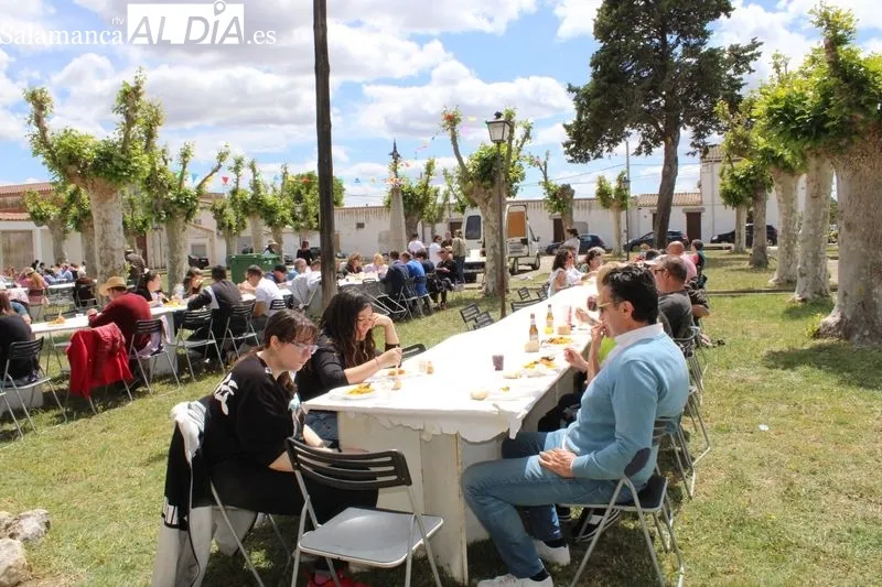 Foto 11 - Alrededor de 240 personas celebran las fiestas de San Isidro en Torrej&oacute;n&nbsp;
