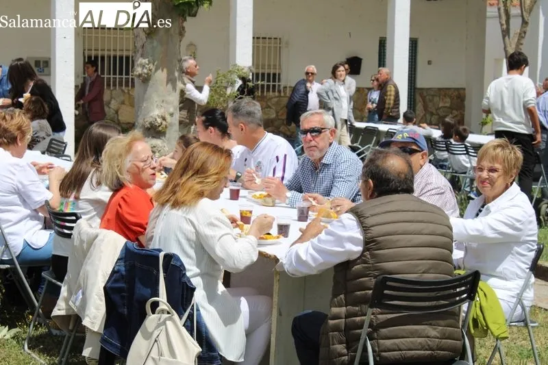 Foto 3 - Alrededor de 240 personas celebran las fiestas de San Isidro en Torrej&oacute;n&nbsp;