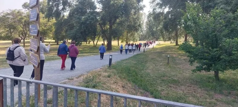 Actividades de la Semana Cultural de Mayores y por el Día Internacional de los Museos 