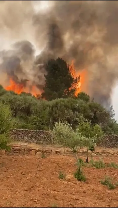 Del Parque de Bomberos de Lumbrales participan tres bomberos con un camión autobomba