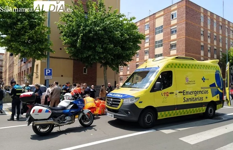 Atropello en el paseo de los Cedros. Foto de David Sañudo