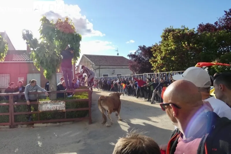 Tarazona de la Guareña vivía su I Toro de Cajón