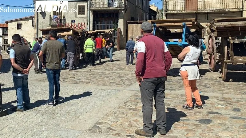 Encierros y capeas protagonizan las fiestas de El Noveno que mantiene el coso taurino de carros de labranza