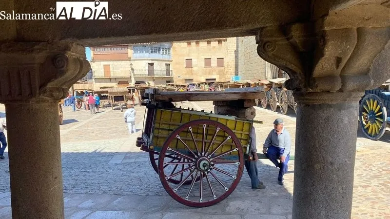 Encierros y capeas protagonizan las fiestas de El Noveno que mantiene el coso taurino de carros de labranza