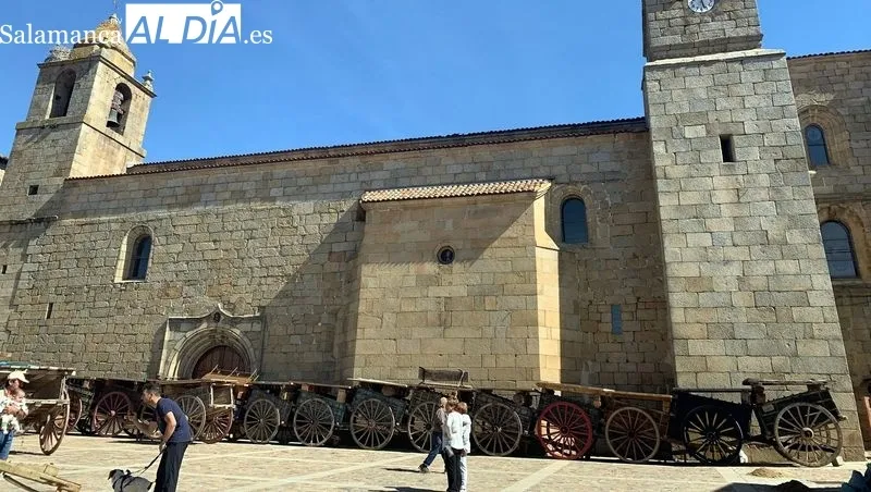 Encierros y capeas protagonizan las fiestas de El Noveno que mantiene el coso taurino de carros de labranza