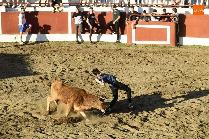Foto 11 - Espectacular lleno en las primeras citas taurinas de las fiestas de Saelices