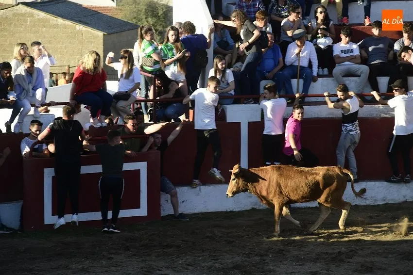 Foto 8 - Espectacular lleno en las primeras citas taurinas de las fiestas de Saelices