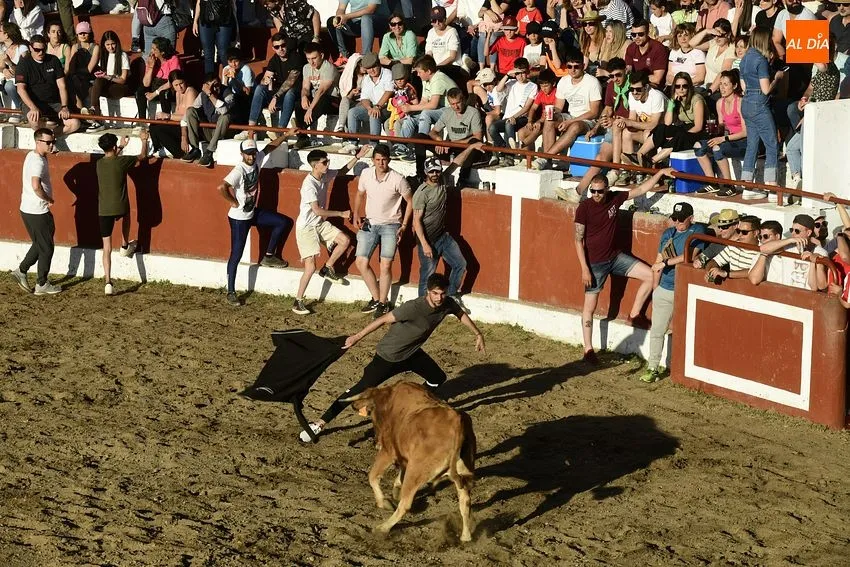 Foto 7 - Espectacular lleno en las primeras citas taurinas de las fiestas de Saelices