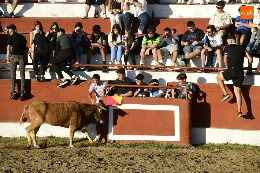 Foto 5 - Espectacular lleno en las primeras citas taurinas de las fiestas de Saelices