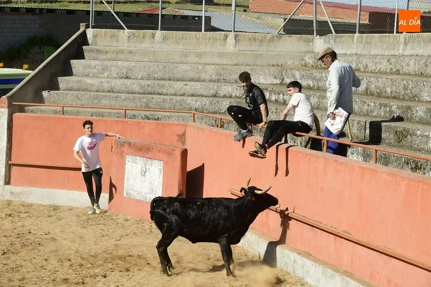 Foto 2 - Divertida capea en El Bod&oacute;n con la sombra como bien preciado