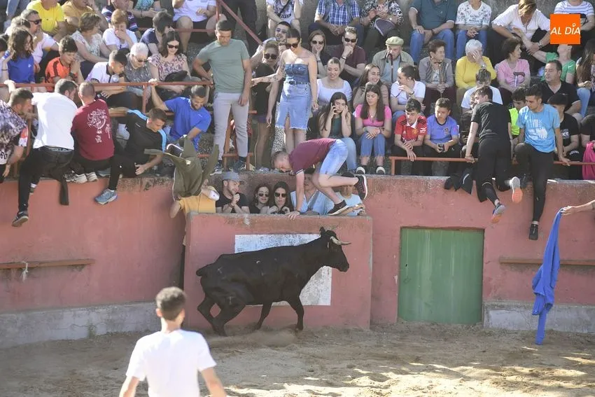Foto 10 - Divertida capea en El Bod&oacute;n con la sombra como bien preciado
