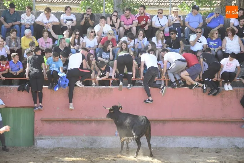 Foto 11 - Divertida capea en El Bod&oacute;n con la sombra como bien preciado