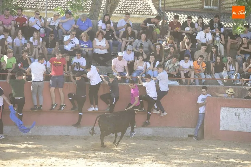 Foto 4 - Divertida capea en El Bod&oacute;n con la sombra como bien preciado