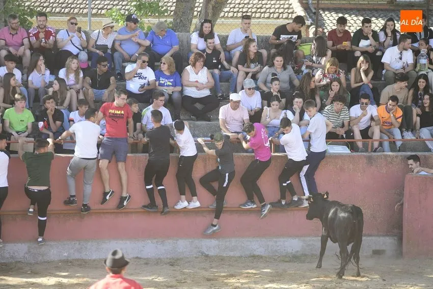 Foto 5 - Divertida capea en El Bod&oacute;n con la sombra como bien preciado