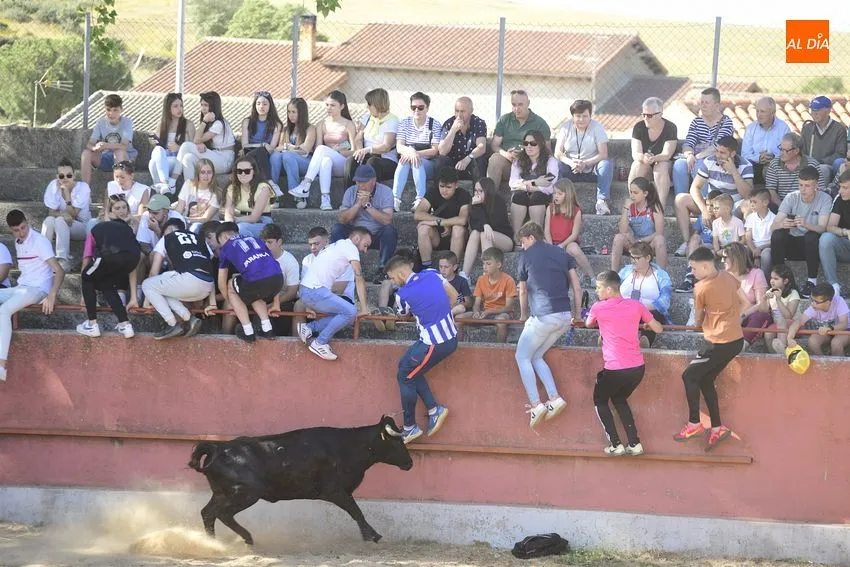 Foto 6 - Divertida capea en El Bod&oacute;n con la sombra como bien preciado