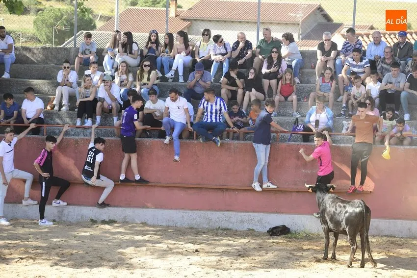 Foto 7 - Divertida capea en El Bod&oacute;n con la sombra como bien preciado
