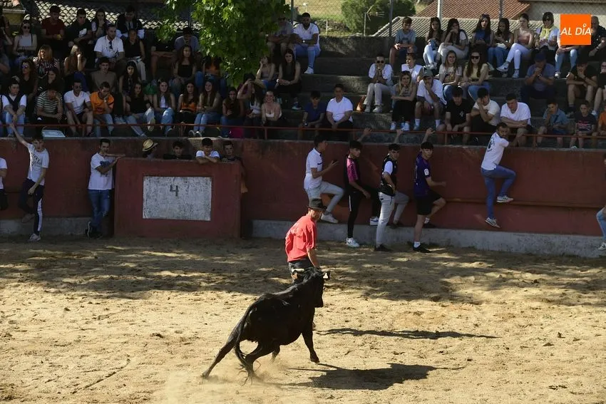 Foto 8 - Divertida capea en El Bod&oacute;n con la sombra como bien preciado
