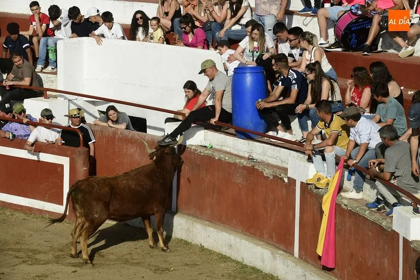Foto 11 - El cansancio festivo se deja notar en la segunda capea de Saelices