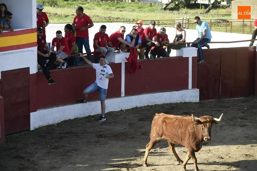 Foto 2 - El cansancio festivo se deja notar en la segunda capea de Saelices