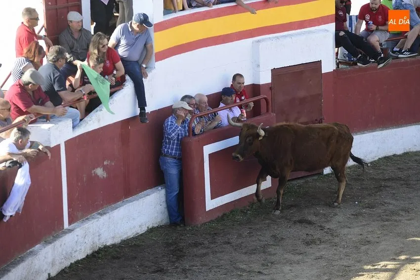 Foto 4 - El cansancio festivo se deja notar en la segunda capea de Saelices