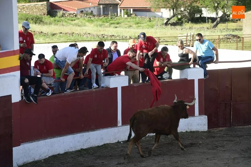 Foto 5 - El cansancio festivo se deja notar en la segunda capea de Saelices
