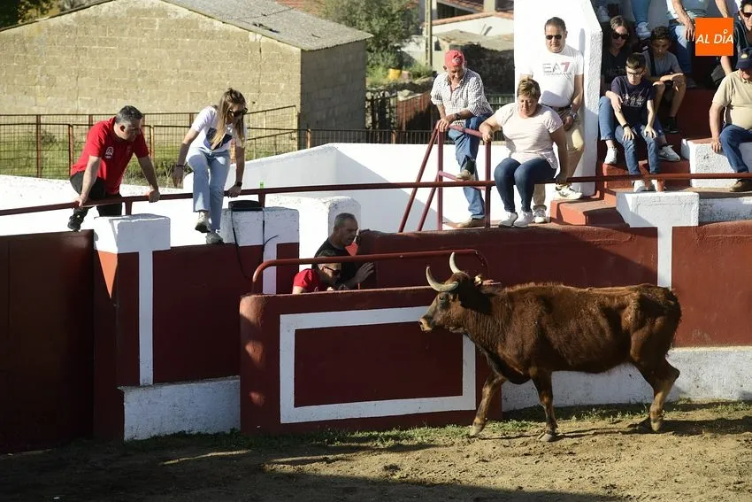 Foto 6 - El cansancio festivo se deja notar en la segunda capea de Saelices