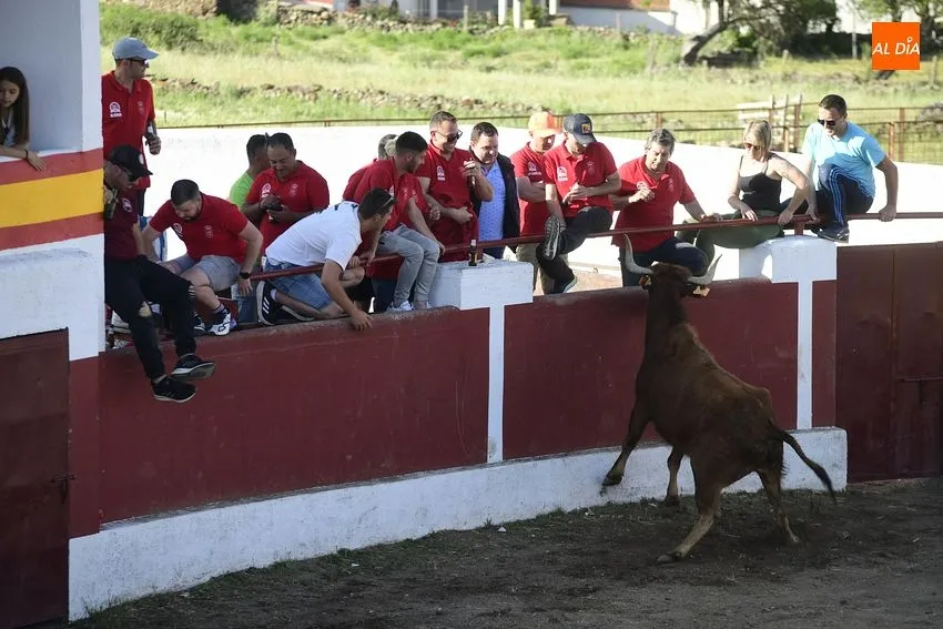 Foto 7 - El cansancio festivo se deja notar en la segunda capea de Saelices