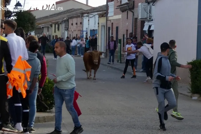 Tarazona de la Guareña vivía su I Toro de Cajón