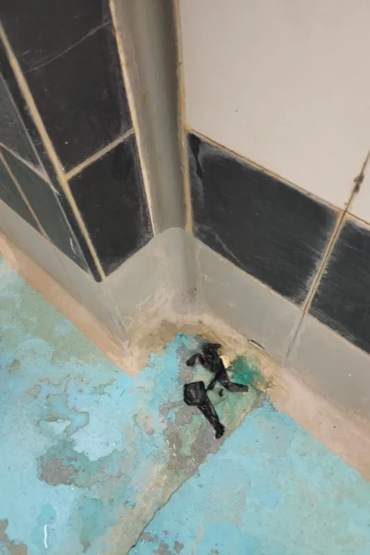 Imágenes recibidas sobre la posible situación de la zona de aseo del estadio El Tori en Salamanca