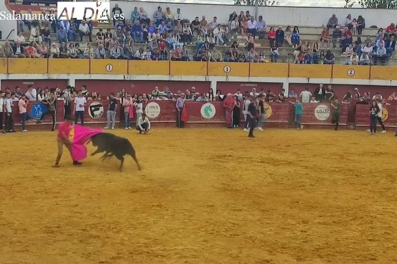 Macotera celebraba este sábado una Capea Popular
