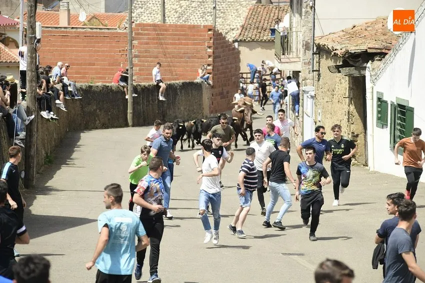 Foto 3 - Entretenido encierro matinal en El Bod&oacute;n con la participaci&oacute;n de m&uacute;ltiples j&oacute;venes