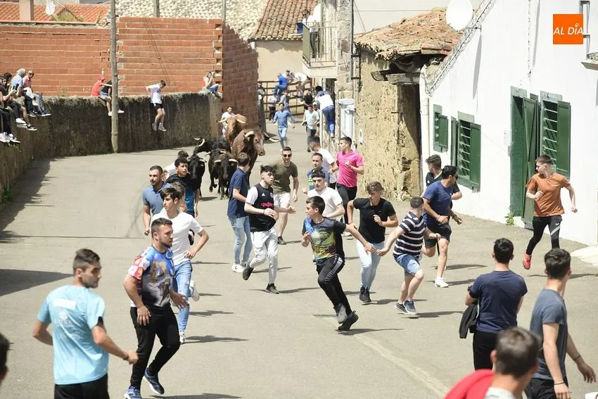 Foto 4 - Entretenido encierro matinal en El Bod&oacute;n con la participaci&oacute;n de m&uacute;ltiples j&oacute;venes