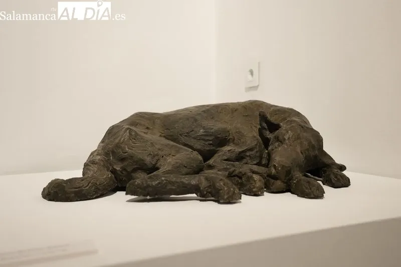 Exposición que homenajea al pintor y escultor Fernando Mayoral, en la Torre de los Anaya. Foto de David Sañudo