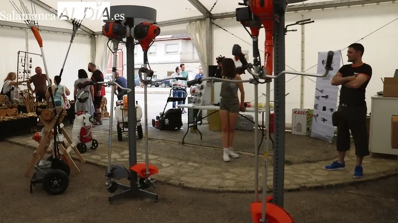 La Feria del Aceite y el Olivar muestra la importancia que cobra este sector en Las Arribes 