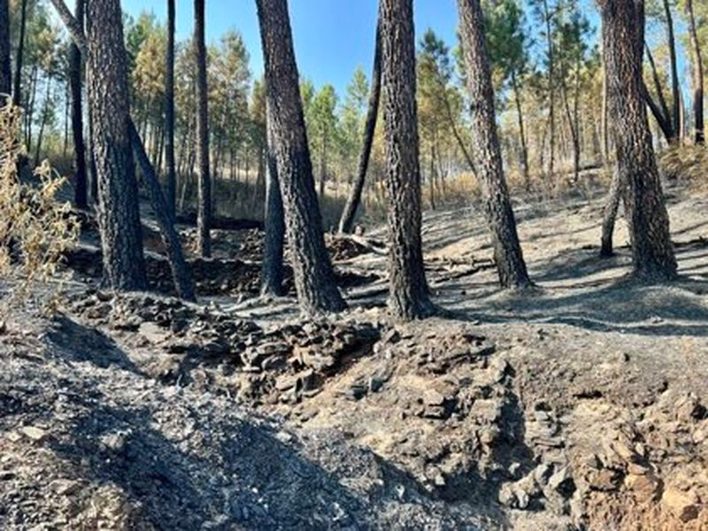 Foto 1 -  El incendio de las comarcas de la Sierra de Gata y Las Hurdes queda controlado
