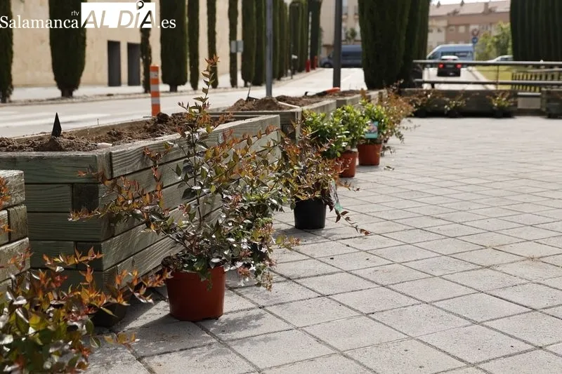 Inauguración del Jardín de los Objetivos de Desarrollo Sostenible (ODS) en el Centro Comercial El Tormes. Foto de David Sañudo